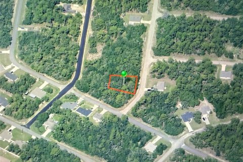 Land in Dunnellon, Florida № 2164704 - photo 3