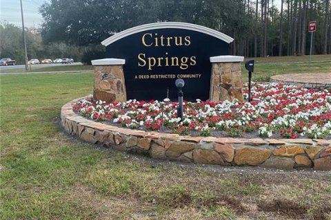Land in Dunnellon, Florida № 2164704 - photo 5