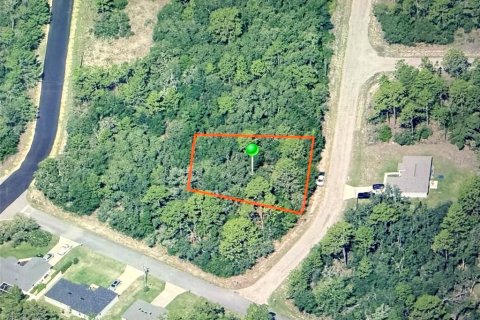 Land in Dunnellon, Florida № 2164704 - photo 2