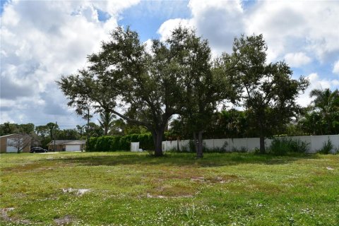 Terrain à vendre à Englewood, Floride № 1858202 - photo 14