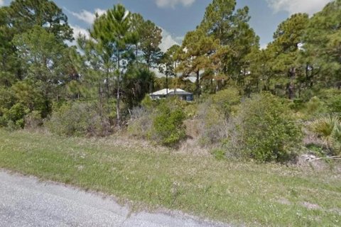 Land in Port Charlotte, Florida № 2159860 - photo 3