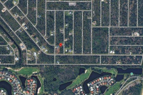 Land in Port Charlotte, Florida № 2159860 - photo 2