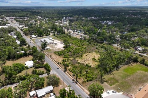 Terreno en venta en Cross City, Florida № 1651153 - foto 13