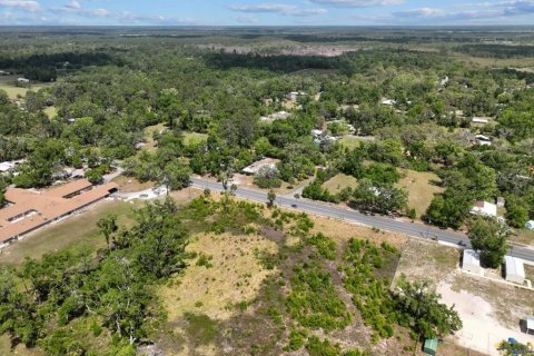 Terreno en venta en Cross City, Florida № 1651153 - foto 8