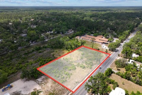 Terreno en venta en Cross City, Florida № 1651153 - foto 1