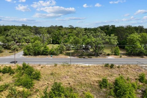 Terreno en venta en Cross City, Florida № 1651153 - foto 16