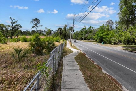 Terreno en venta en Cross City, Florida № 1651153 - foto 2
