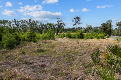 Terreno en venta en Cross City, Florida № 1651153 - foto 6