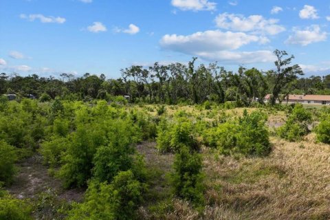 Terreno en venta en Cross City, Florida № 1651153 - foto 14