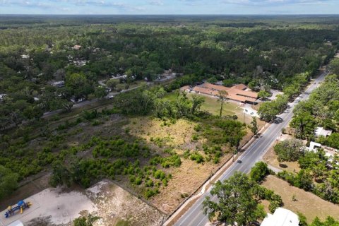Terreno en venta en Cross City, Florida № 1651153 - foto 18