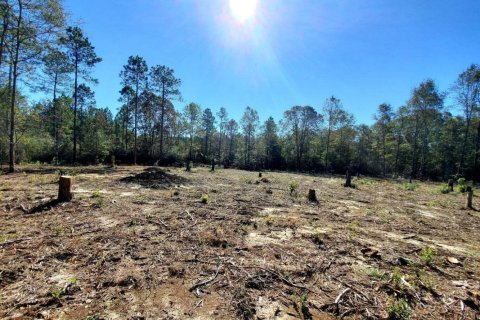Land in Holt, Florida № 561824 - photo 1