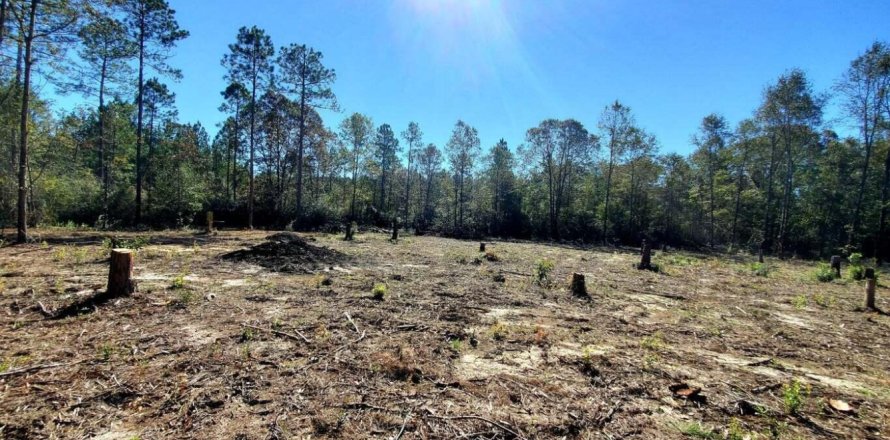 Land in Holt, Florida № 561824