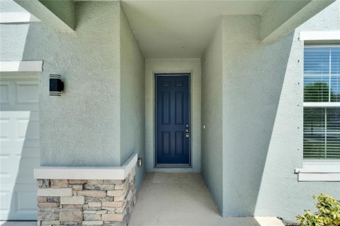 House in Wimauma, Florida 5 bedrooms, 275.36 sq.m. № 1918994 - photo 6