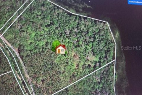 Land in Georgetown, Florida № 1827212 - photo 1