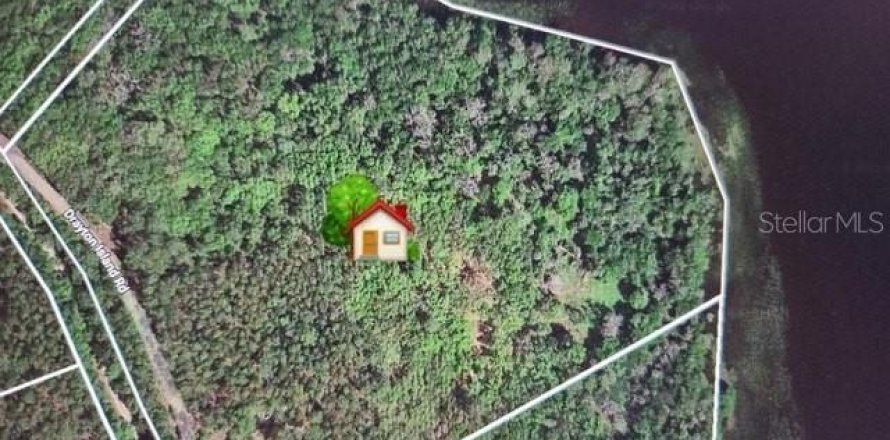 Land in Georgetown, Florida № 1827212