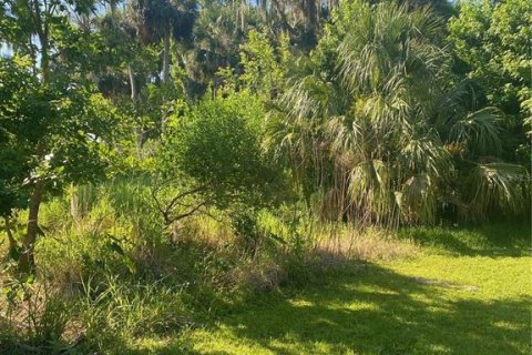 Land in Georgetown, Florida № 1827212 - photo 7