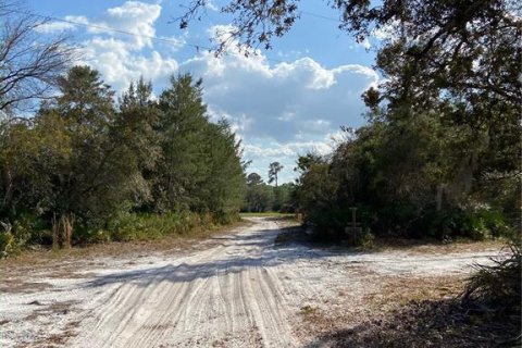 Land in Georgetown, Florida № 1827212 - photo 5