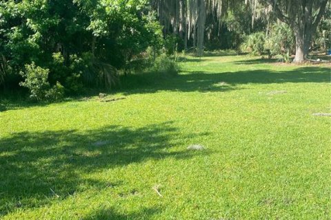 Land in Georgetown, Florida № 1827212 - photo 4