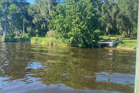 Land in Georgetown, Florida № 1827212 - photo 8