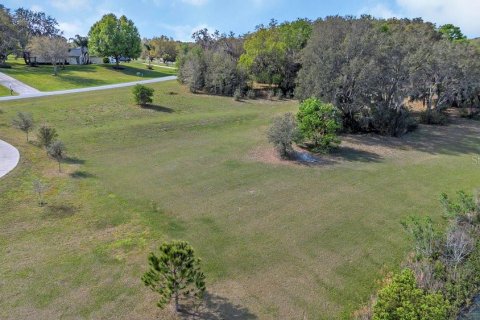 Land in Eustis, Florida № 1547564 - photo 5