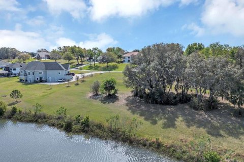 Land in Eustis, Florida № 1547564 - photo 11