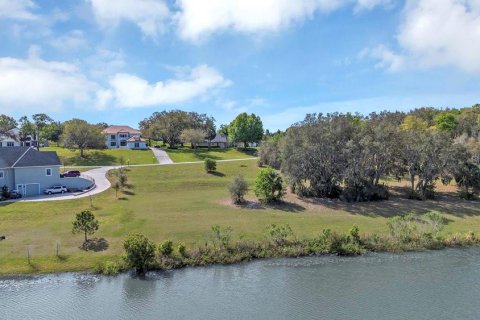 Land in Eustis, Florida № 1547564 - photo 8
