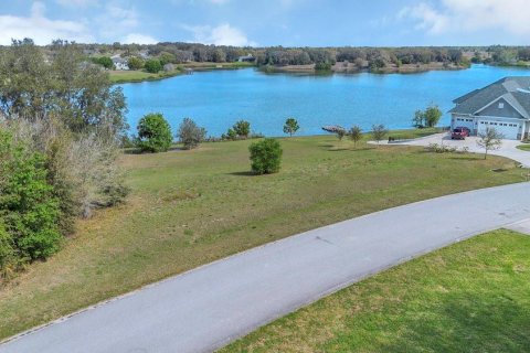 Land in Eustis, Florida № 1547564 - photo 10