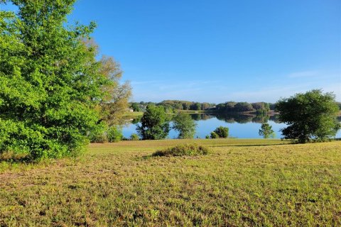 Land in Eustis, Florida № 1547564 - photo 2