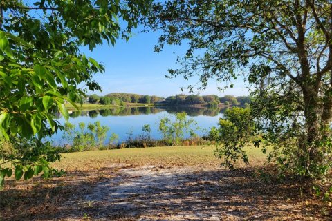 Land in Eustis, Florida № 1547564 - photo 3