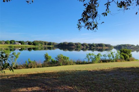 Land in Eustis, Florida № 1547564 - photo 4