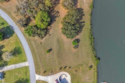 Land in Eustis, Florida № 1547564 - photo 7