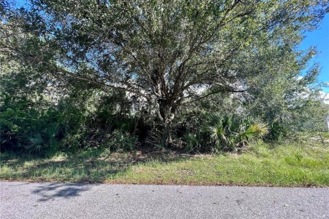 Land in Port Charlotte, Florida № 2159968