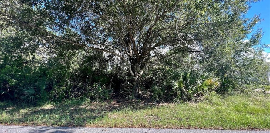 Land in Port Charlotte, Florida № 2159968