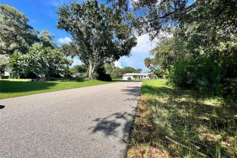Land in Port Charlotte, Florida № 2159968 - photo 3