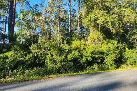 Land in Ocala, Florida № 2162514 - photo 5
