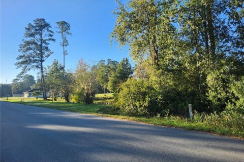 Land in Ocala, Florida № 2162514 - photo 2