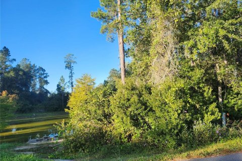 Land in Ocala, Florida № 2162514 - photo 3