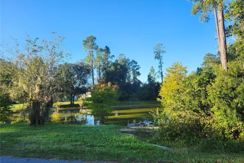 Land in Ocala, Florida № 2162514 - photo 4