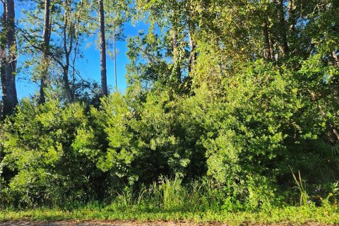 Land in Ocala, Florida № 2162514