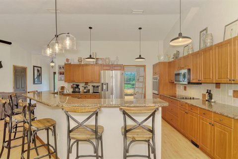 House in Myakka City, Florida 4 bedrooms, 210.8 sq.m. № 2266957 - photo 16