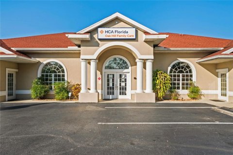 Immobilier commercial à vendre à Spring Hill, Floride: 434.97 m2 № 1650153 - photo 2