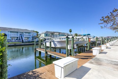 Copropriété à louer à Saint Petersburg, Floride: 1 chambre, 62.06 m2 № 1735418 - photo 26