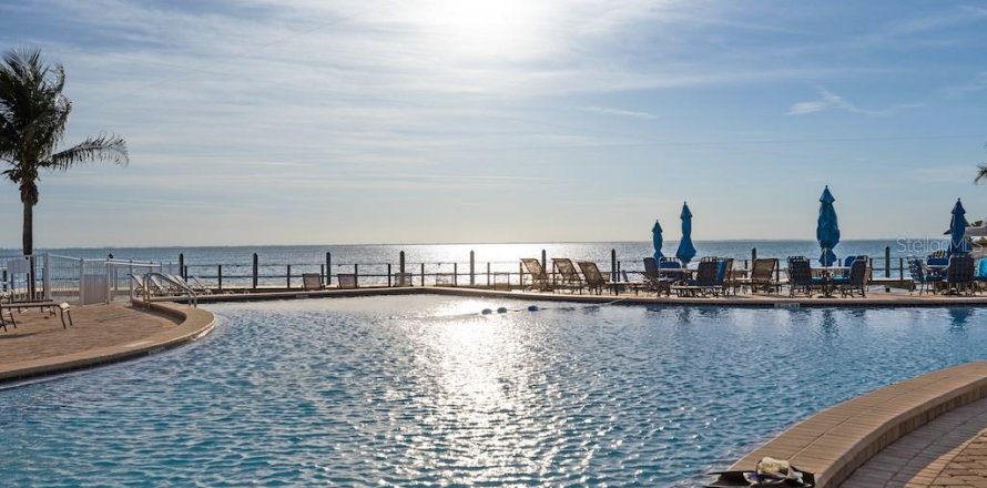 Condo à Saint Petersburg, Floride, 1 chambre № 1735418