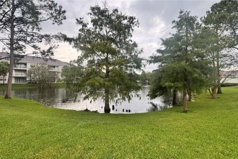 Condominio en alquiler en Orlando, Florida, 1 dormitorio, 79.99 m2 № 1919538 - foto 7