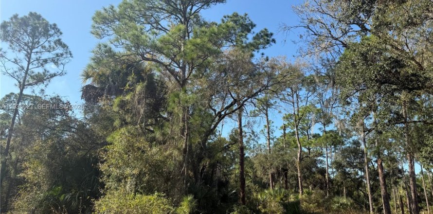 Terreno en Clewiston, Florida № 1993752