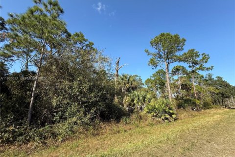 Terreno en venta en Clewiston, Florida № 1993752 - foto 7
