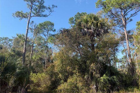 Terreno en venta en Clewiston, Florida № 1993752 - foto 2