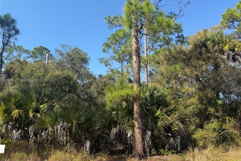 Terreno en venta en Clewiston, Florida № 1993752 - foto 3