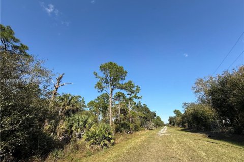 Terreno en venta en Clewiston, Florida № 1993752 - foto 8