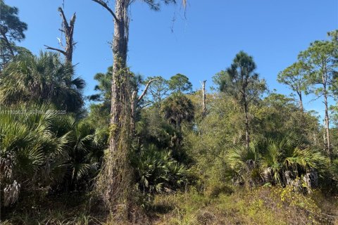 Terreno en venta en Clewiston, Florida № 1993752 - foto 4